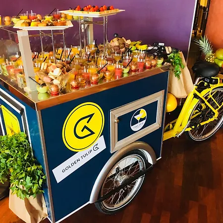 Hotel Golden Tulip Cdg Airport